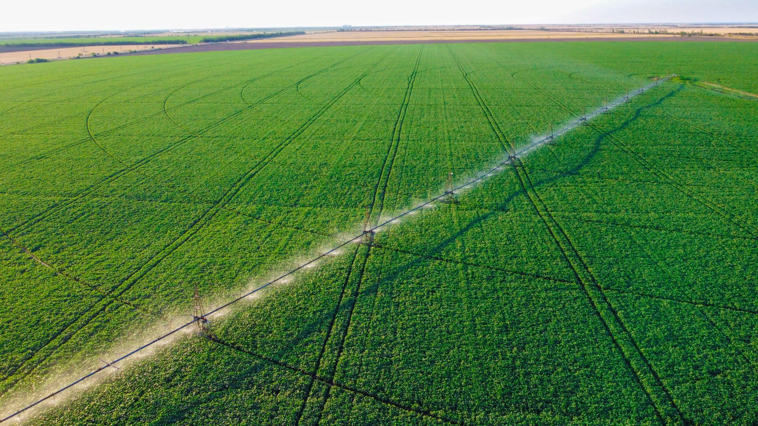 Farming,Irrigation,Sprinklers,System,On,Cultivated,Agricultural,Landscape,Field.,Aerial