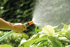 private-gardening